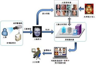 智能通道閘機(jī) 公共安防中的身份識別與信息鑒定新趨勢