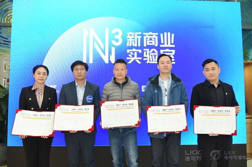 洛可可咨詢業(yè)務(wù)全新升級(jí) 信息技術(shù)咨詢服務(wù)邁向獨(dú)立運(yùn)營(yíng)新階段